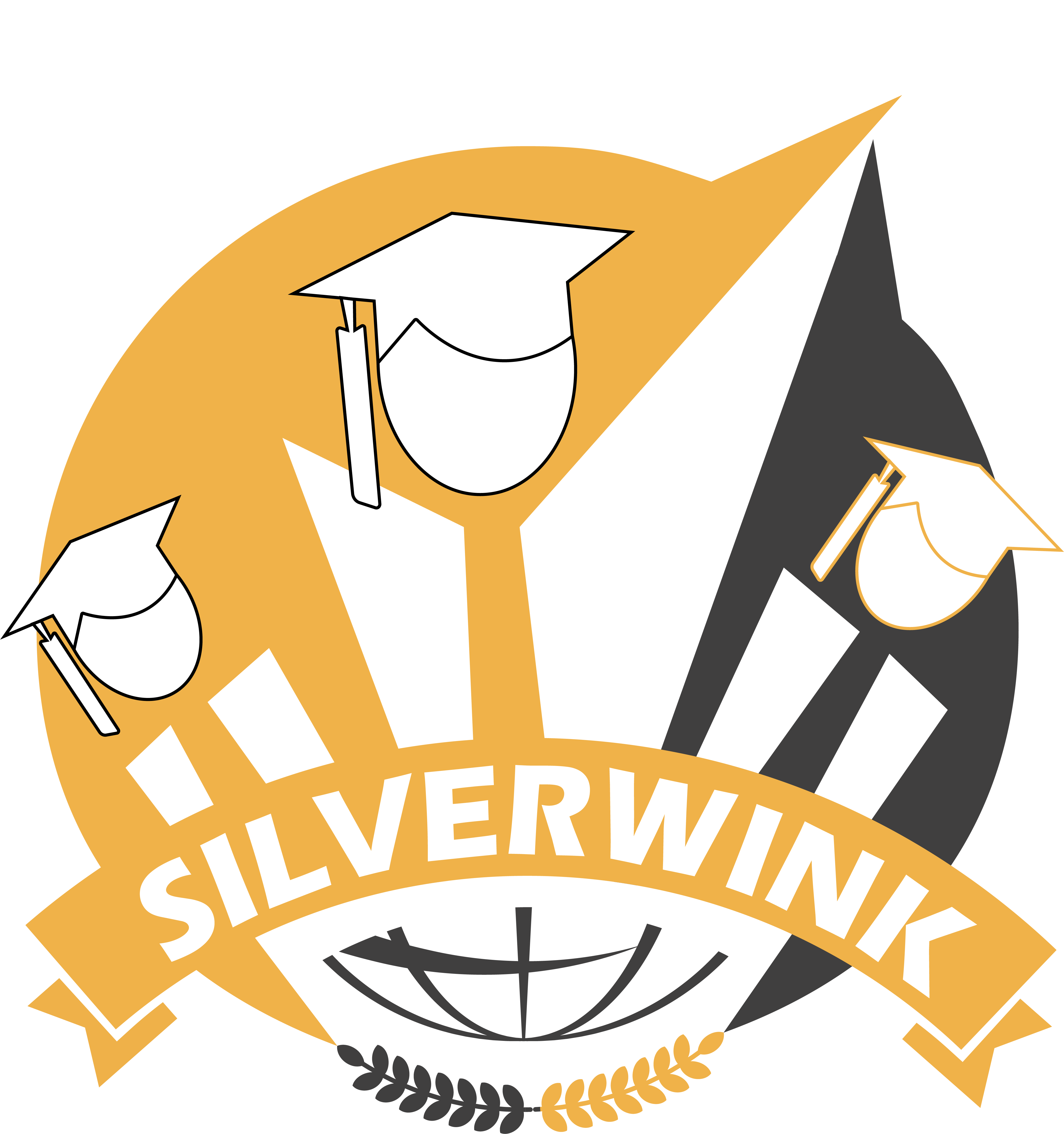 Silverwink IT Training Institute logo